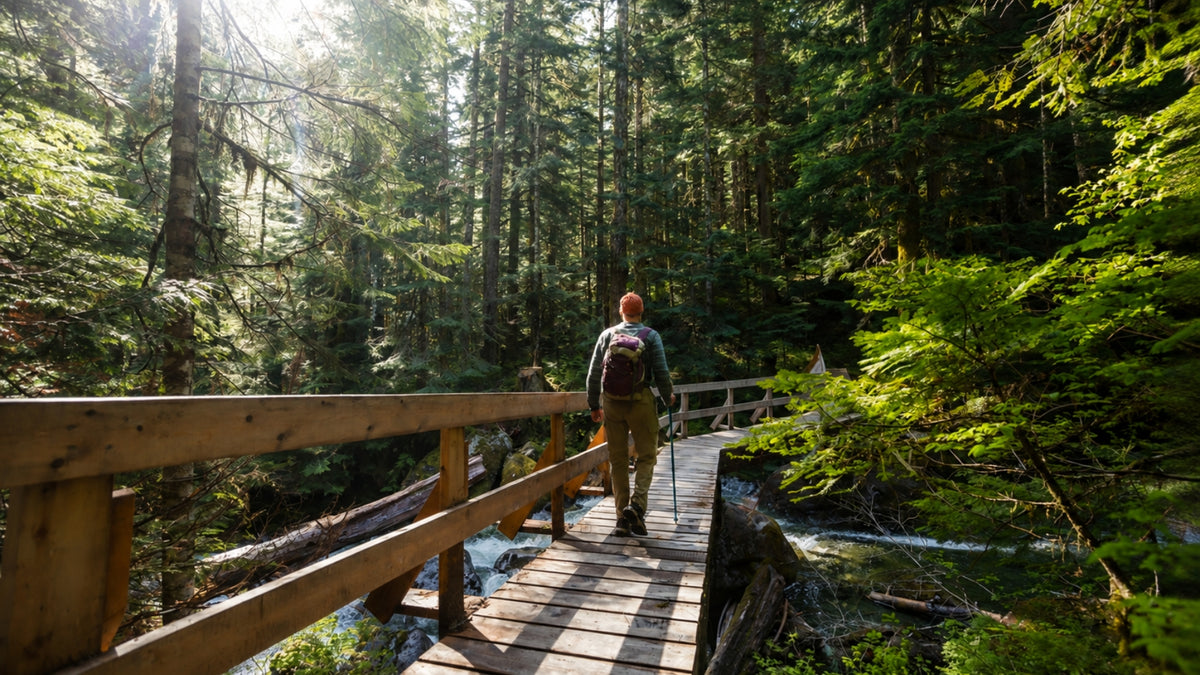 A person with a backpack walks across a wooden boardwalk bridge in a dense green forest.